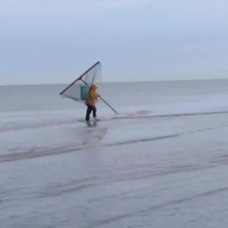 Vivement La Mer * Oye-Plage